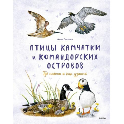 Большое фото товара - МойПервыйОпределитель Птицы Камчатки и Командорских островов. Где найти и как узнать (Евсеева А.), (Эксмо,МаннИвановИФербер, 2025), 7Б, c.96, 13-1001211. Вариант №1