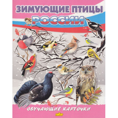 Большое фото товара - ОбучающиеКарточки Зимующие птицы России (18 карточек, 19*24см, в папке, в пакете), (Литур-К, 2025), Л, 13-1007887. Вариант №1
