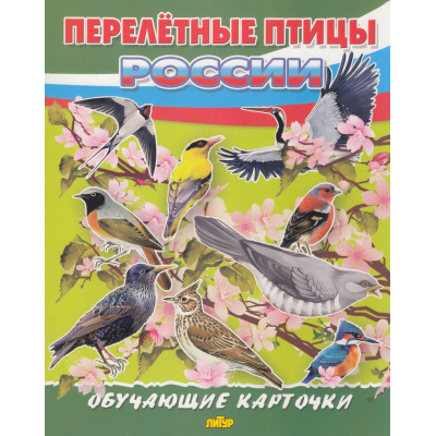 Большое фото товара - ОбучающиеКарточки Перелетные птицы России (18 карточек, 19*24см, в папке, в пакете), (Литур-К, 2025), Л, 13-1007888. Вариант №1