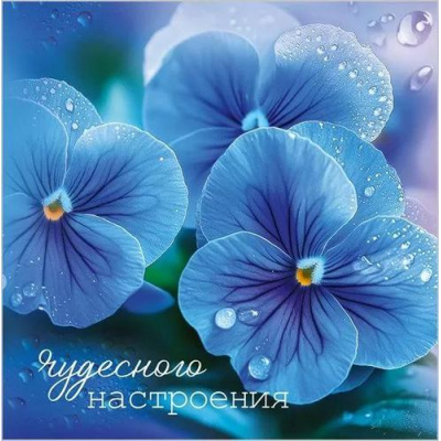 Большое фото товара - 50002281 Бирка для подарка "Чудесного настроения" (мини, двойная), (Праздник), 13-1012763. Вариант №1
