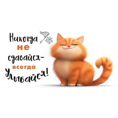 Большое фото товара - 10000336 Никогда не сдавайся! (конверт для денег), (Хорошо), 13-1016002. Вариант №1