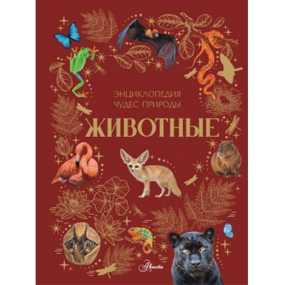 Большое фото товара - ЭнциклопедияЧудесПрироды Животные (Ярович А.Г.), (АСТ, Аванта, 2025), 7Б, c.128, 13-1019074. Вариант №1
