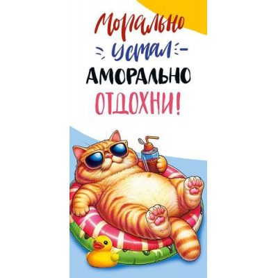 Большое фото товара - 10000912 Кот на отдыхе (конверт для денег), (Хорошо), 13-1019901. Вариант №1