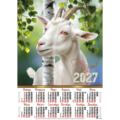 Большое фото товара - Календарь листовой 2027 А2 Коза с березкой (Символ года) (лак) 27167, (Келинс, 2026), Л, 13-1022130. Вариант №1