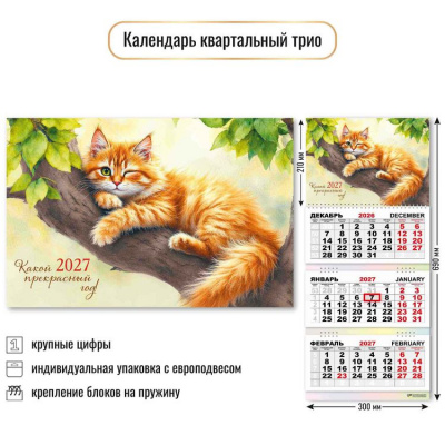 Большое фото товара - КалендарьКвартальный 2027 Кот/Какой прекрасный год! (300*690, трехблочный) 10022, (Квадра), 13-1022998. Вариант №1