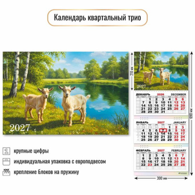 Большое фото товара - КалендарьКвартальный 2027 Год козы (Символ года) (300*690, трехблочный) 10007, (Квадра), 13-1023009. Вариант №1