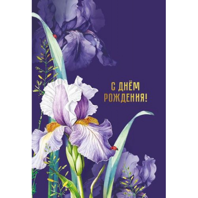 Большое фото товара - 019724 С Днем рождения! (открытка, текст, блестки), (МирПоздр), 13-1025388. Вариант №1