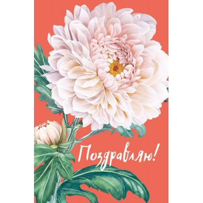 Большое фото товара - 059957 Поздравляю! (открытка, текст, блестки), (МирПоздр), 13-1025392. Вариант №1