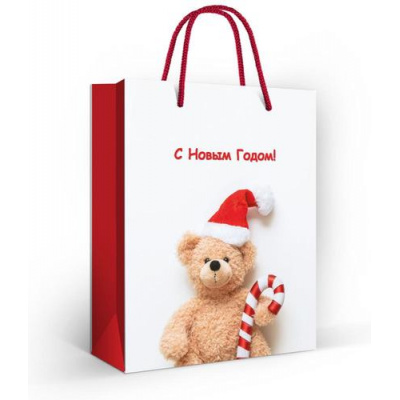 Большое фото товара - Пакет Бумажный 18*22,7 (M) С Новым годом! 151602100, (Хорошо), 13-1026683. Вариант №1