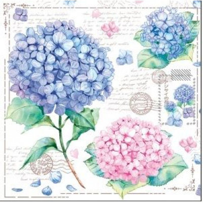 Большое фото товара - Салфетки бумажные Bouquet Домашняя коллекция. Открытка с гортензиями (33*33см, 3-слоя, 20шт.) 37927, (ООО "Русская бумага АЛЛ Продукция"), 13-1029752. Вариант №1