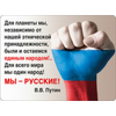 Большое фото товара - 5151905 Виниловый магнит "Для планеты мы..." (герб, флаг), (Хорошо), 13-595589. Вариант №1