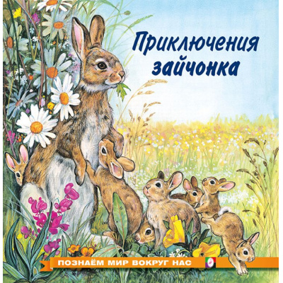 Большое фото товара - ПознаемМирВокругНас Приключения зайчонка (Арт.19785/28213), (Фламинго, 2025), Обл, c.16, 13-598479. Вариант №1