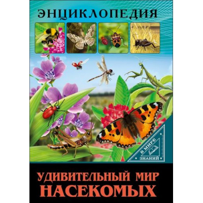 Большое фото товара - ЭнциклопедияВМиреЗнаний Удивительный мир насекомых (Соколова Л.), (Проф-Пресс, 2023), 7Бц, c.32, 13-718959. Вариант №1