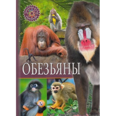 Большое фото товара - ПопулярнаяДетскаяЭнциклопедия Обезьяны, (Владис, 2024), 7Бц, c.64, 13-761603. Вариант №1