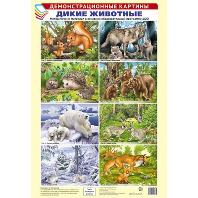 Большое фото товара - ДемонстрационныеКартины Дикие животные. Методический материал к основной образовательной программе ДОО (8 плакатов) (А3, в пакете), (Сфера, 2024), Л, 13-765414. Вариант №1