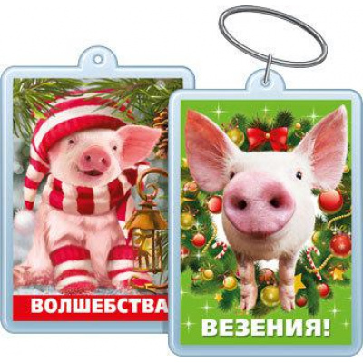 Большое фото товара - 5155270 Брелок акриловый "Волшебства! Везения!" (Символ Года), (Хорошо), 13-770290. Вариант №1