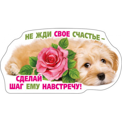 Большое фото товара - 5156272 Виниловый магнит "Не жди свое счастье...", (Хорошо), 13-779217. Вариант №1