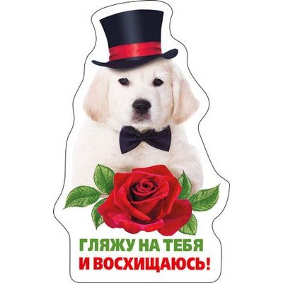 Большое фото товара - 5156275 Виниловый магнит "Гляжу на тебя...", (Хорошо), 13-779220. Вариант №1