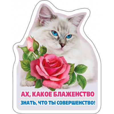 Большое фото товара - 5156281 Виниловый магнит "Ах, какое блаженство...", (Хорошо), 13-779225. Вариант №1