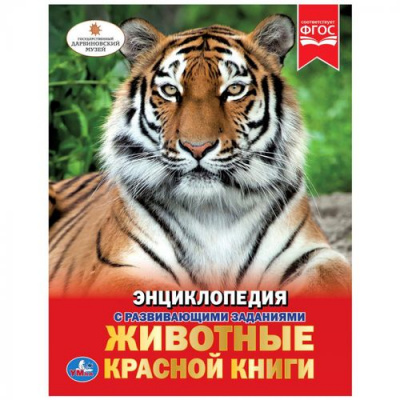 Большое фото товара - Энциклопедия Животные Красной книги (тигр) (с развивающими заданиями), (Умка, 2022), 7Бц, c.48, 13-782253. Вариант №1