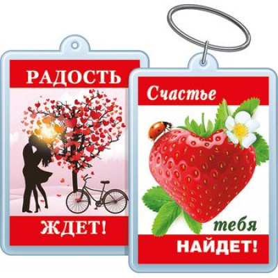 Большое фото товара - 5155276 Брелок акриловый  "Радость ждет! Счастье тебя найдет!", (Хорошо), 13-782857. Вариант №1