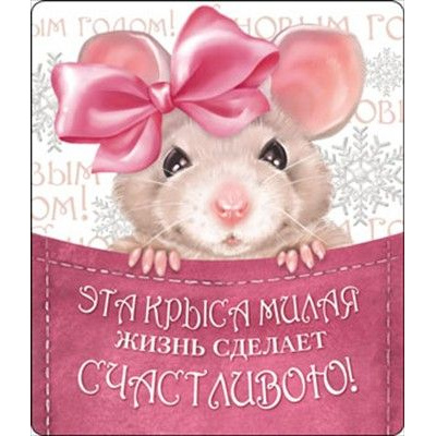 Большое фото товара - 5112177 Виниловый магнит "Эта Крыса милая жизнь сделает счастливою!", (Хорошо), 13-818707. Вариант №1