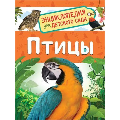 Большое фото товара - ЭнциклопедияДляДетскогоСада Птицы (Гальцева С.Н.), (Росмэн/Росмэн-Пресс, 2026), 7Бц, c.48, 13-826267. Вариант №1