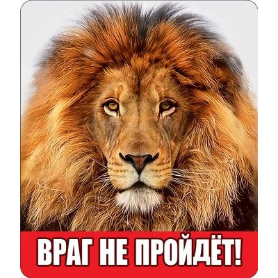 Большое фото товара - 151900006 Виниловый магнит "Враг не пройдет!", (Хорошо), 13-830285. Вариант №1
