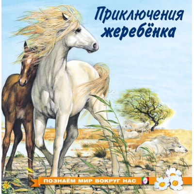 Большое фото товара - ПознаемМирВокругНас Приключения жеребенка (Арт.25755/30063), (Фламинго, 2024), Обл, c.16, 13-835911. Вариант №1