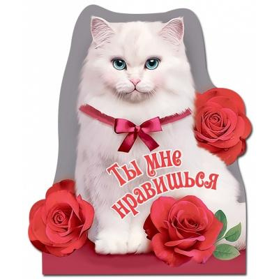 Большое фото товара - 151100437 Виниловый магнит "Ты мне нравишься" (вырубка), (Хорошо), 13-862333. Вариант №1