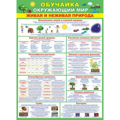 Большое фото товара - 002522 Плакат "Обучайка Окружающий мир" (697*505мм, текст), (МирОткр), 13-864251. Вариант №1