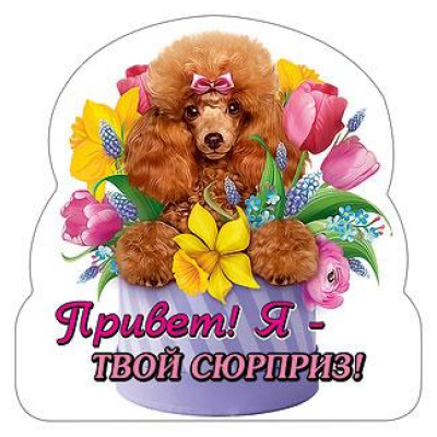 Большое фото товара - 152000599 Виниловый магнит "Привет, я твой сюрприз" (вырубка), (Хорошо), 13-865925. Вариант №1