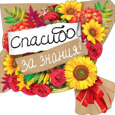 Большое фото товара - 079125 ЭлементДляОформления "Спасибо за знания!" (А5, вырубка, на скотче), (МирПоздр), 13-876720. Вариант №1