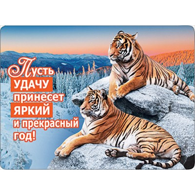 Большое фото товара - 151600888 Виниловый магнит "Тигры на камне" (Символ года), (Хорошо), 13-887445. Вариант №1