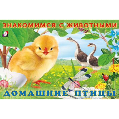 Большое фото товара - ЗнакомимсяСЖивотными Домашние птицы (Арт.27711), (Фламинго, 2025), Обл, c.16, 13-890412. Вариант №1