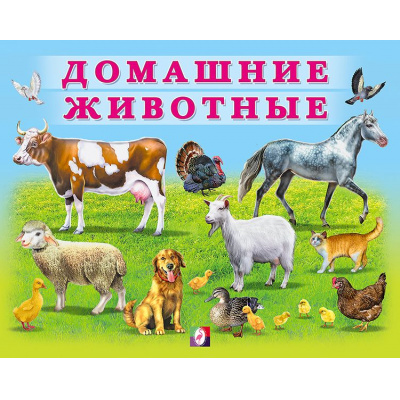 Большое фото товара - УчимМалыша Домашние животные (Арт.29470), (Фламинго, 2022), Обл, c.12, 13-901988. Вариант №1