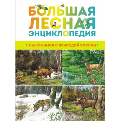 Большое фото товара - ИллюстрированнаяЭнциклопедия Большая лесная энциклопедия. Знакомимся с природой России (Тихонов А.), (Махаон,АзбукаАттикус, 2022), 7Б, c.192, 13-904857. Вариант №1