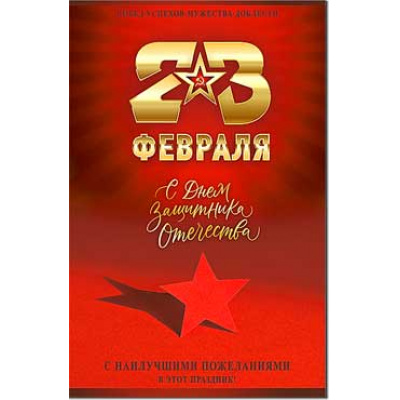 Большое фото товара - 234750TK 23 февраля (текст, блестки, конгрев), (ФДА), 13-926284. Вариант №1