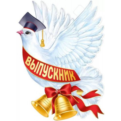 Большое фото товара - 2217400 Плакат "Голубь. Выпускник" (600*440мм, вырубка), (ИмперияПоздр), 13-929589. Вариант №1