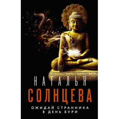 Большое фото товара - ВсеСовпаденияНеСлучайны-м Солнцева Н.А. Ожидай странника в день бури, (АСТ, 2023), Обл, c.384, 13-933799. Вариант №1