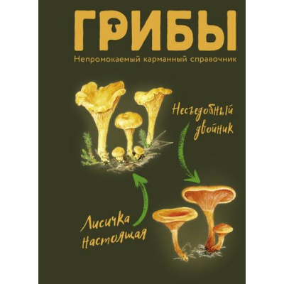 Большое фото товара - КарманныйГид Грибы. Непромокаемый карманный справочник (Сергеева М.Н.) (на спирали), (АСТ,Кладезь, 2023), Обл, c.32, 13-941448. Вариант №1