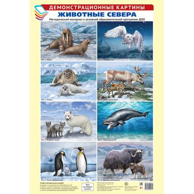 Большое фото товара - ДемонстрационныеКартины Животные Севера. Методический материал к основной образовательной программе ДОО (8 плакатов) (А3, в пакете), (Сфера, 2021), Л, 13-950259. Вариант №1