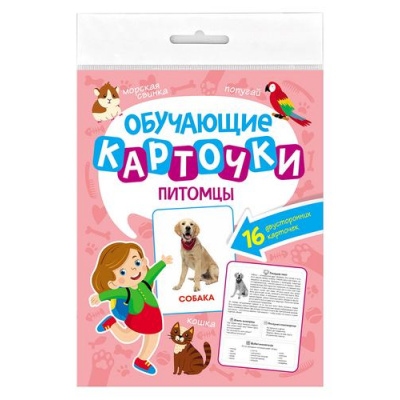 Большое фото товара - ОбучающиеКарточки Питомцы (16 карточек, двусторонние) КО-2760, (Проф-Пресс, 2023), К, c.16, 13-961187. Вариант №1