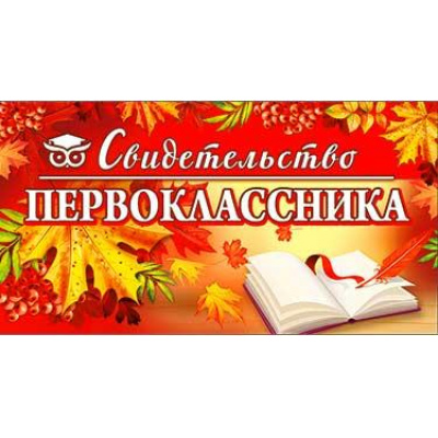 Большое фото товара - D212 Свидетельство первоклассника (текст), (ФДА), 13-971817. Вариант №1