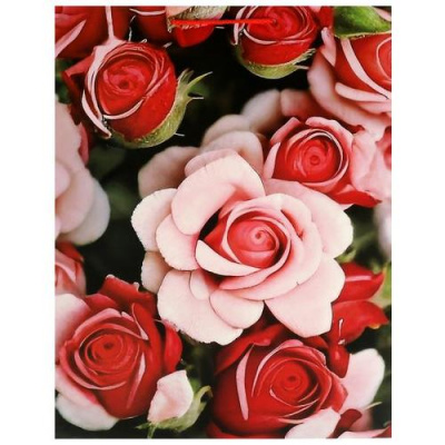 Большое фото товара - Пакет Бумажный 33,5*45*15 Розы PXL-104475-FLWR3, (Huada Toy Co.,Ltd), 13-978310. Вариант №1