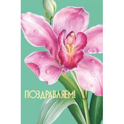 Большое фото товара - 059956 Поздравляем! (открытка, текст, блестки), (МирПоздр), 13-979860. Вариант №1