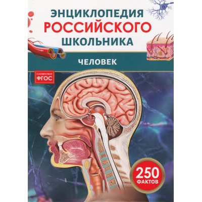 Большое фото товара - ЭнциклопедияРоссийскогоШкольника Человек (соот.ФГОС), (Росмэн/Росмэн-Пресс, 2024), 7Бц, c.48, 13-980780. Вариант №1