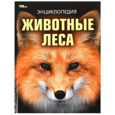 Большое фото товара - Энциклопедия Животные леса, (Умка, 2024), 7Бц, c.48, 13-982096. Вариант №1