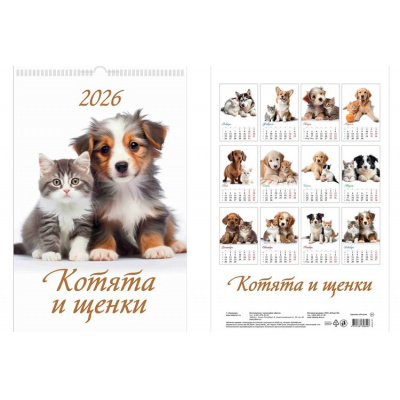 Большое фото товара - КалендарьНастенный 2026 Котята и щенки (320*480, с ригелем, на спирали, перекидной) 0526018, (Дитон,Каленарт), 13-996171. Вариант №1